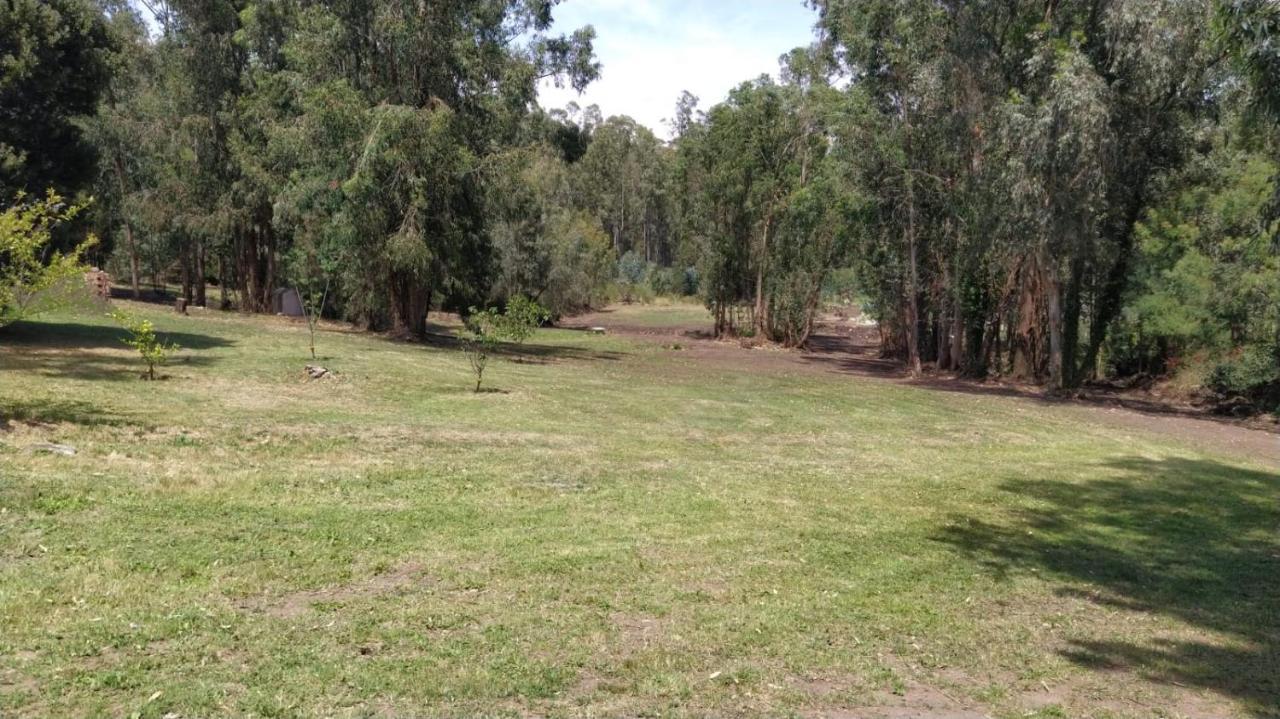 El Bosque De Las Animas Vila Tandil Exterior foto